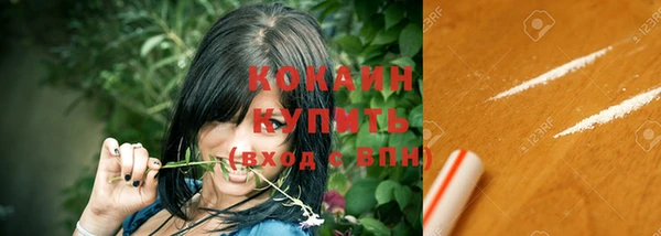 дмт Касимов