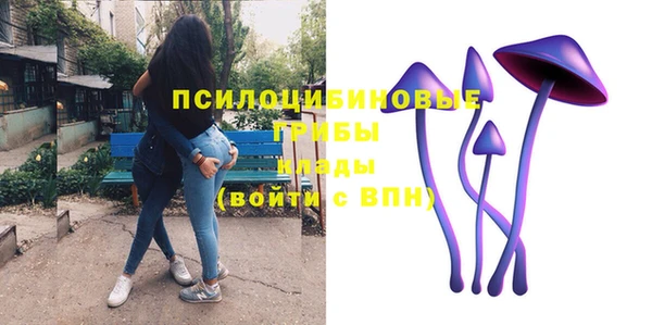 MESCALINE Карпинск