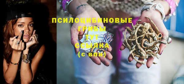 дмт Касимов