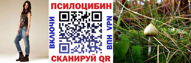 Купить закладки  Бокситогорск  Псилоцибиновые грибы Magic Shrooms 